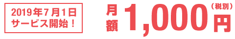 月額1000円(税別)